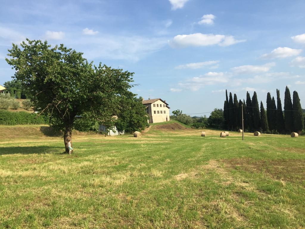 Casale Al Solivo B&B Castion Veronese Exteriér fotografie